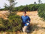 WB on picea abies (CZ,Krtkonoshe)
Фото Евгения Тарасова